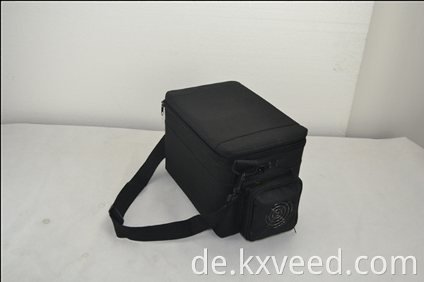 5lblack tragbarer Mini -Camping -Kühlschrank Isolierter Kühlerbox DC12V